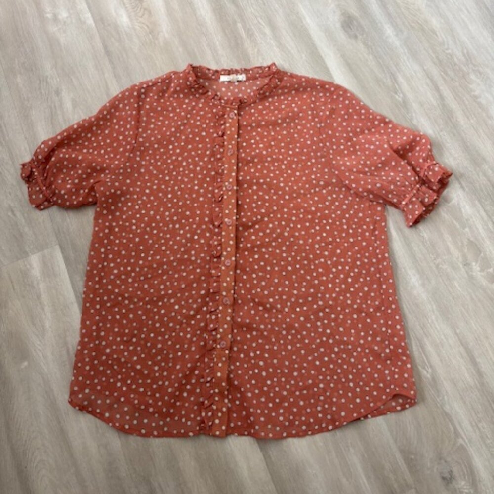 Pleione Sheer Ruffle Front Sleeve Blouse - size small
